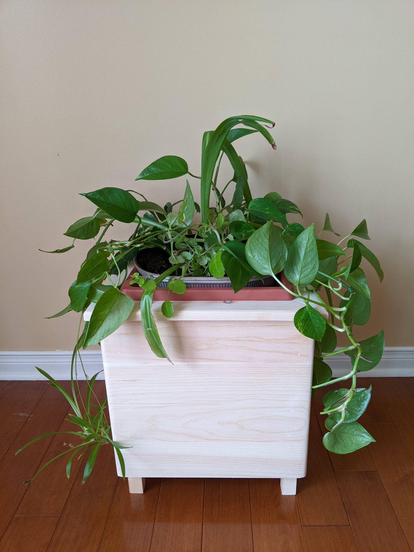 Cache pot intérieur